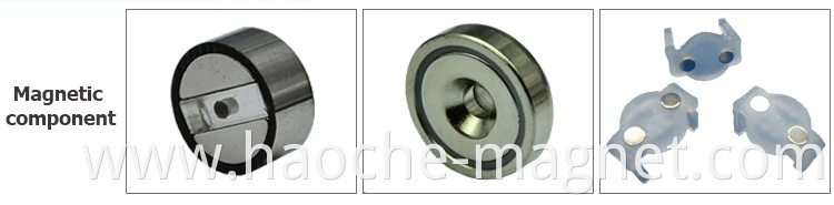 Permanent Magnet Rotor for Fuel Pump, Magnetic Rotor